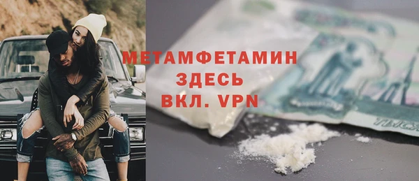 трава Няндома