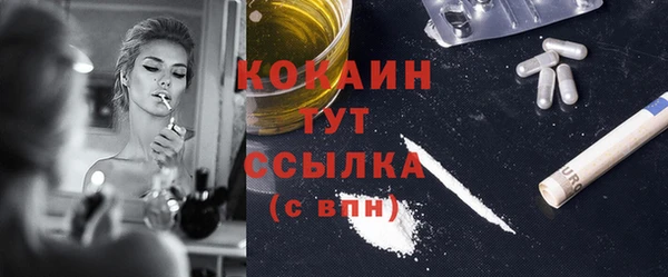 ПСИЛОЦИБИНОВЫЕ ГРИБЫ Арсеньев