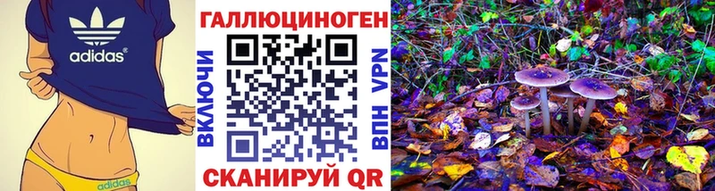 Галлюциногенные грибы Psilocybe  дарнет шоп  Углегорск 